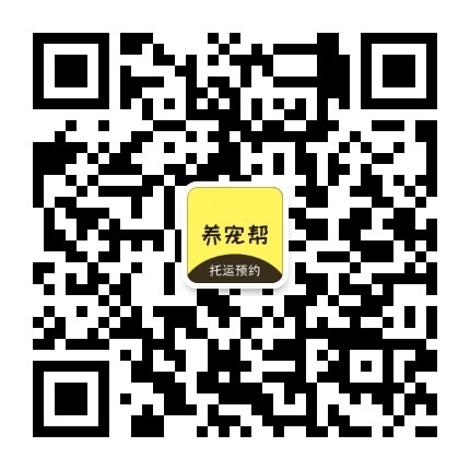 宠物托运服务二维码